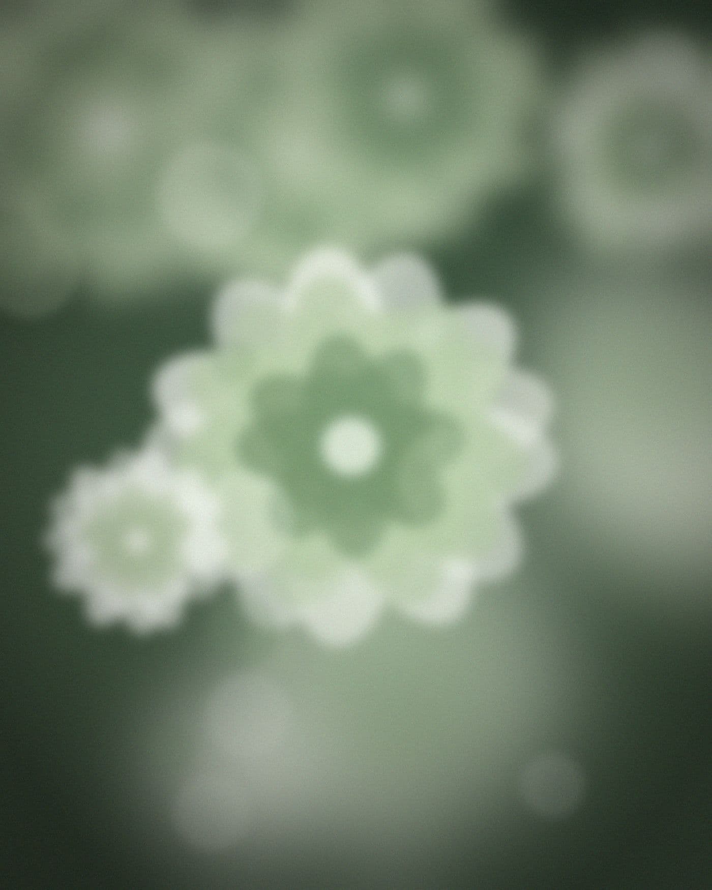 Plants & Home