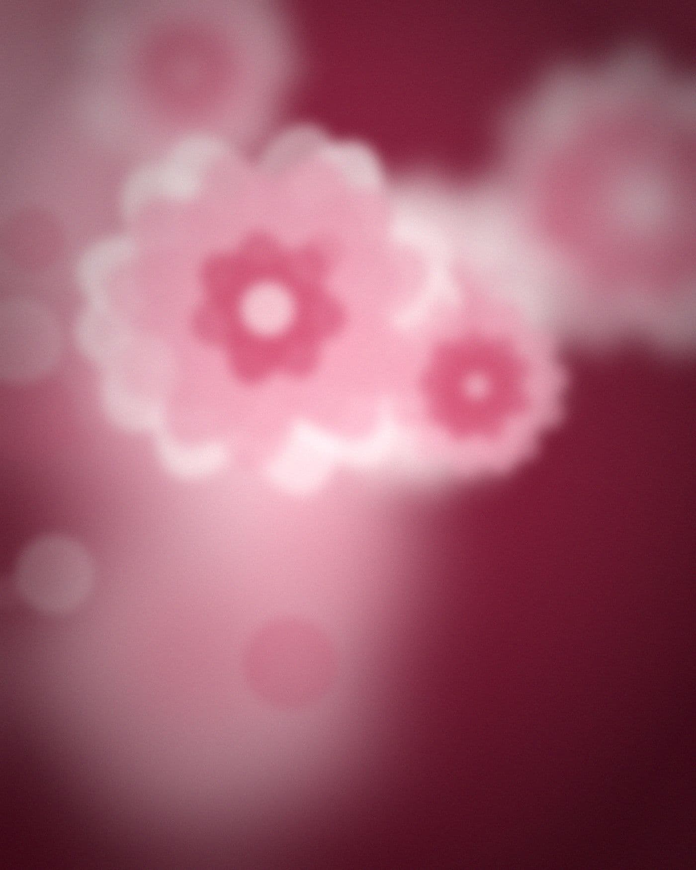 Romance & Roses