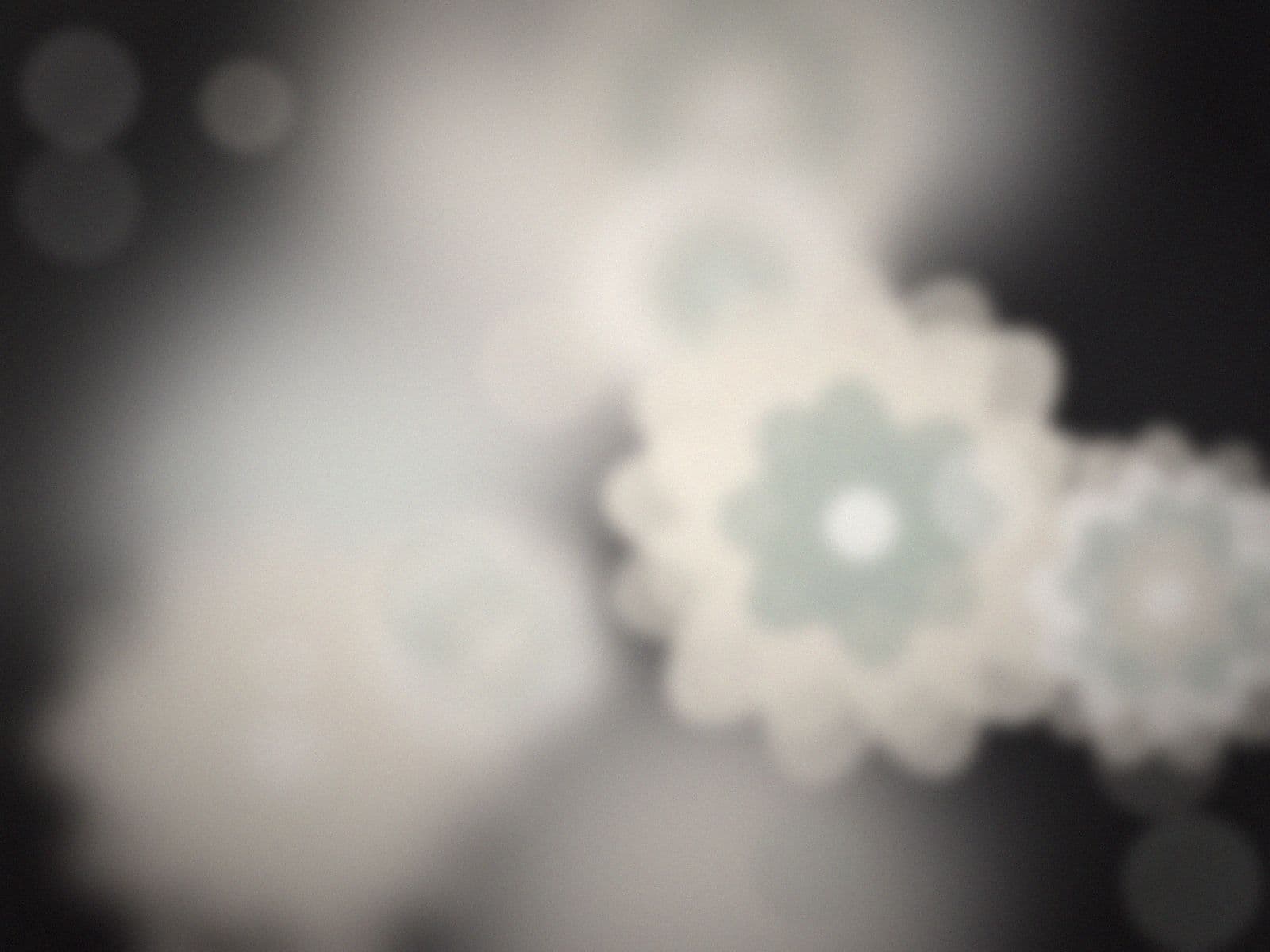 Funeral wreath delivered to a tanatorio in San Pedro de Alcántara